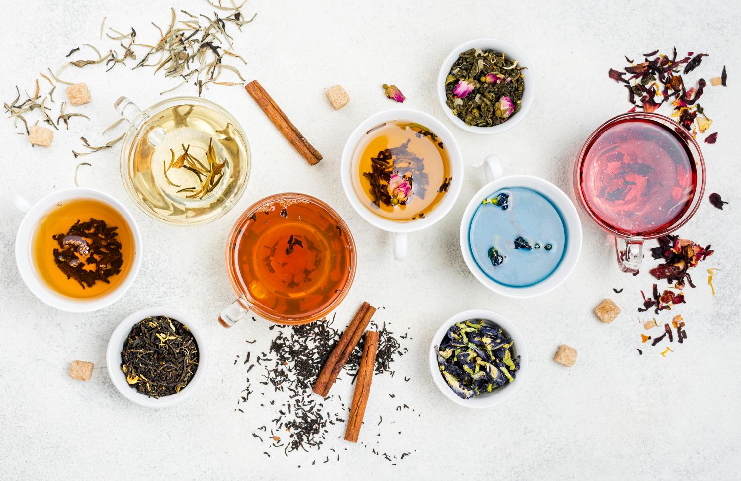 Types de thé : vert, noir, blanc, oolong – les principales différences